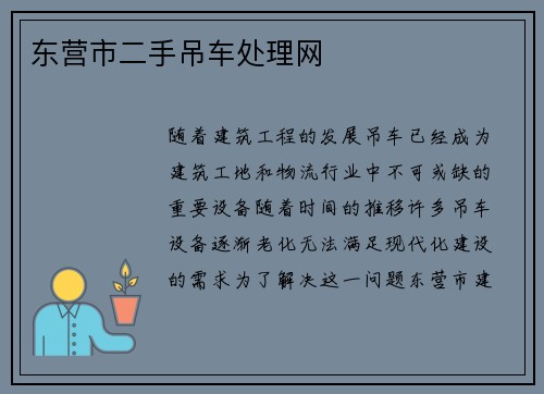 东营市二手吊车处理网